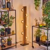 Chehalis kula świetlna, lampa stojąca kolory naturalne, czarny, 6-punktowe