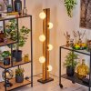Chehalis kula świetlna, lampa stojąca kolory naturalne, czarny, 6-punktowe