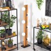 Chehalis kula świetlna, lampa stojąca kolory naturalne, czarny, 6-punktowe