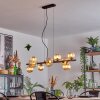 Chehalis lampa wisząca, kula świetlna, lampa wisząca bursztynowy, 10-punktowe