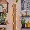 Chehalis kula świetlna, lampa stojąca kolory naturalne, czarny, 6-punktowe