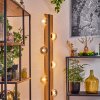 Chehalis Kula świetlna, Lampa stojąca Ecru, Czarny, 6-punktowe