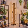 Chehalis kula świetlna, lampa stojąca kolory naturalne, czarny, 6-punktowe