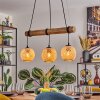 Basto lampa wisząca, kula świetlna, lampa wisząca kolory naturalne, czarny, 3-punktowe