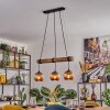 Koyoto lampa wisząca, kula świetlna, lampa wisząca kolory naturalne, czarny, 3-punktowe