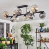 Koyoto Lampa sufitowa, Kula świetlna W kolorze bursztynu, Przezroczysty, Przydymiony, 10-punktowe
