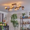 Koyoto Lampa sufitowa, Kula świetlna W kolorze bursztynu, Przezroczysty, Przydymiony, 10-punktowe