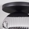 Ripoll lampa sufitowa, kula świetlna chrom, przydymiony, 1-punktowy