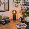 Gastor kula świetlna, lampka biurkowa, lampa stołowa przydymiony, 1-punktowy
