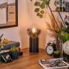 Gastor kula świetlna, lampka biurkowa, lampa stołowa przezroczysty, przydymiony, 1-punktowy