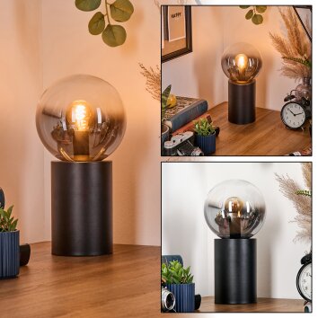 Gastor kula świetlna, lampka biurkowa, lampa stołowa przezroczysty, przydymiony, 1-punktowy