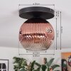 Ripoll lampa sufitowa, kula świetlna przezroczysty, miedziany, 1-punktowy