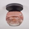 Ripoll lampa sufitowa, kula świetlna przezroczysty, miedziany, 1-punktowy