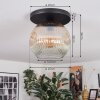 Ripoll lampa sufitowa, kula świetlna bursztynowy, przezroczysty, 1-punktowy