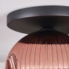 Ripoll Lampa sufitowa, Kula świetlna W kolorze miedzi, 1-punktowy