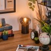 Gastor kula świetlna, lampka biurkowa, lampa stołowa chrom, przezroczysty, przydymiony, 1-punktowy