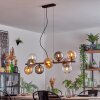 Gastor Lampa wisząca, Kula świetlna, Lampa wisząca W kolorze bursztynu, Przezroczysty, Przydymiony, 10-punktowe