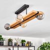Chehalis lampa sufitowa, kula świetlna kolory naturalne, czarny, 4-punktowe