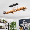 Chehalis lampa sufitowa, kula świetlna kolory naturalne, czarny, 4-punktowe