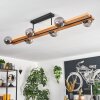 Chehalis lampa sufitowa, kula świetlna kolory naturalne, czarny, 6-punktowe