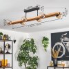 Chehalis lampa sufitowa, kula świetlna kolory naturalne, czarny, 6-punktowe