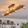 Chehalis lampa sufitowa, kula świetlna kolory naturalne, czarny, 6-punktowe