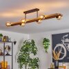 Chehalis lampa sufitowa, kula świetlna kolory naturalne, czarny, 6-punktowe