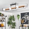 Chehalis lampa sufitowa, kula świetlna kolory naturalne, czarny, 6-punktowe