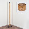 Cando lampa stojąca kolory naturalne, czarny, 1-punktowy