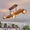 Chehalis lampa sufitowa, kula świetlna kolory naturalne, czarny, 4-punktowe