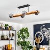 Chehalis lampa sufitowa, kula świetlna kolory naturalne, czarny, 4-punktowe