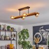 Chehalis lampa sufitowa, kula świetlna kolory naturalne, czarny, 4-punktowe