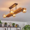 Chehalis lampa sufitowa, kula świetlna kolory naturalne, czarny, 4-punktowe