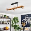 Chehalis lampa sufitowa, kula świetlna kolory naturalne, czarny, 4-punktowe