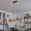 Chehalis Lampa wisząca, Kula świetlna, Lampa wisząca W kolorze bursztynu, Przydymiony, 8-punktowe