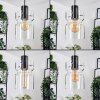 Hasvik lampa wisząca, lampa wisząca czarny, 5-punktowe