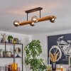 Chehalis lampa sufitowa, kula świetlna kolory naturalne, czarny, 4-punktowe