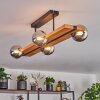 Chehalis lampa sufitowa, kula świetlna kolory naturalne, czarny, 4-punktowe