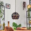 Alven Lampa wisząca, Lampa wisząca Czarny, 1-punktowy