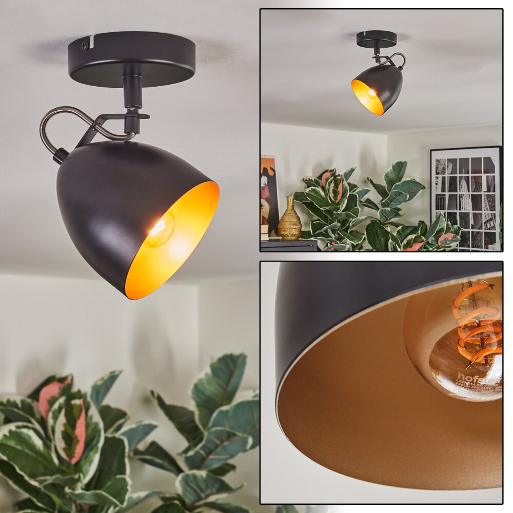 Bjedstrup Lampa sufitowa, Spot sufitowy, Spot ścienny Czarny, 1-punktowy main product photo
