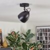 Bjedstrup Lampa sufitowa, Spot sufitowy, Spot ścienny Czarny, 1-punktowy