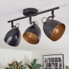 Bjedstrup Lampa sufitowa, Spot sufitowy Czarny, 3-punktowe