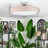Foggia Lampa sufitowa Nikiel matowy, 3-punktowe
