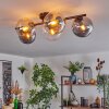 Gastor Lampa sufitowa, Kula świetlna W kolorze bursztynu, Przezroczysty, Przydymiony, 5-punktowe