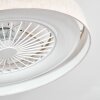 Benasal lampa sufitowa, wentylator sufitowy z oświetleniem LED biały, 1-punktowy, Zdalne sterowanie