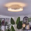 Benasal lampa sufitowa, wentylator sufitowy z oświetleniem LED biały, 1-punktowy, Zdalne sterowanie