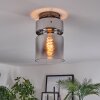 Hasvik lampa sufitowa, spot sufitowy chrom, przydymiony, 1-punktowy