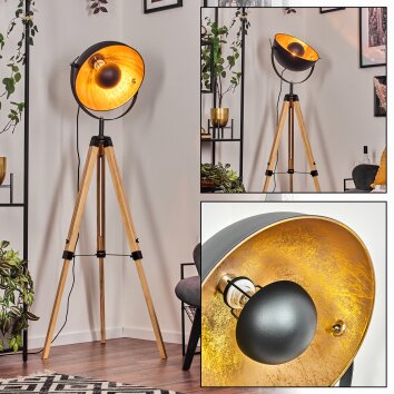 Jupiter lampa stojąca kolory naturalne, czarny, 1-punktowy