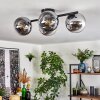 Gastor Lampa sufitowa, Kula świetlna Chrom, Przezroczysty, Przydymiony, 4-punktowe
