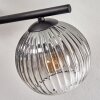 Koyoto Lampa sufitowa, Kula świetlna Przezroczysty, Przydymiony, 4-punktowe